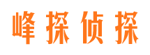 扶风找人公司